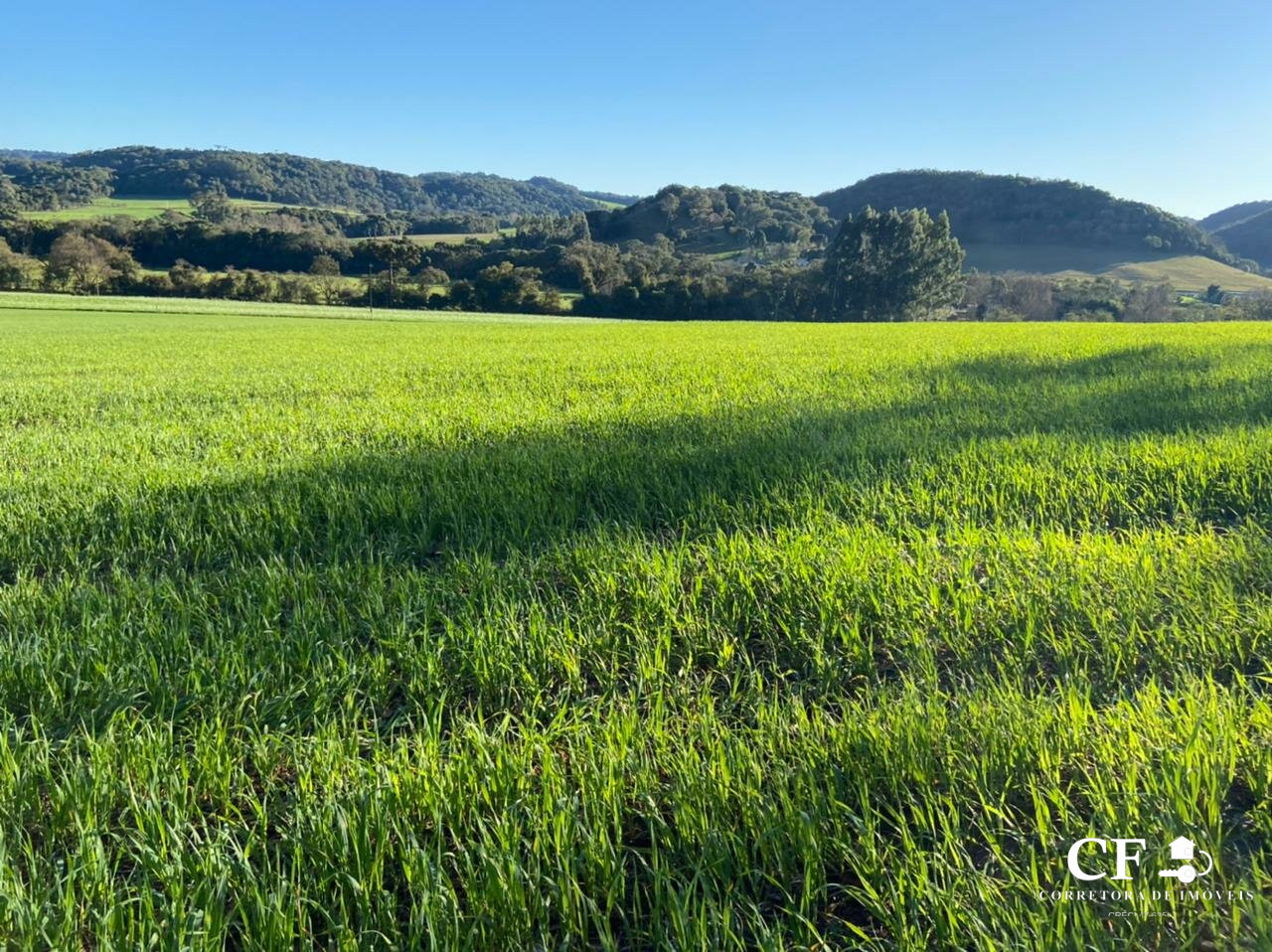 Comprar Área Rural Comprar Área Rural